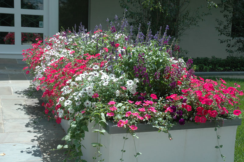Maher & Greenwald Fine Gardens :: Seasonal Pots & Plantings